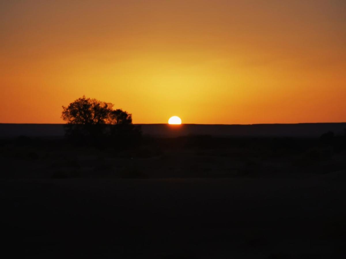 Desert Berber Fire-Camp Merzouga Exteriör bild