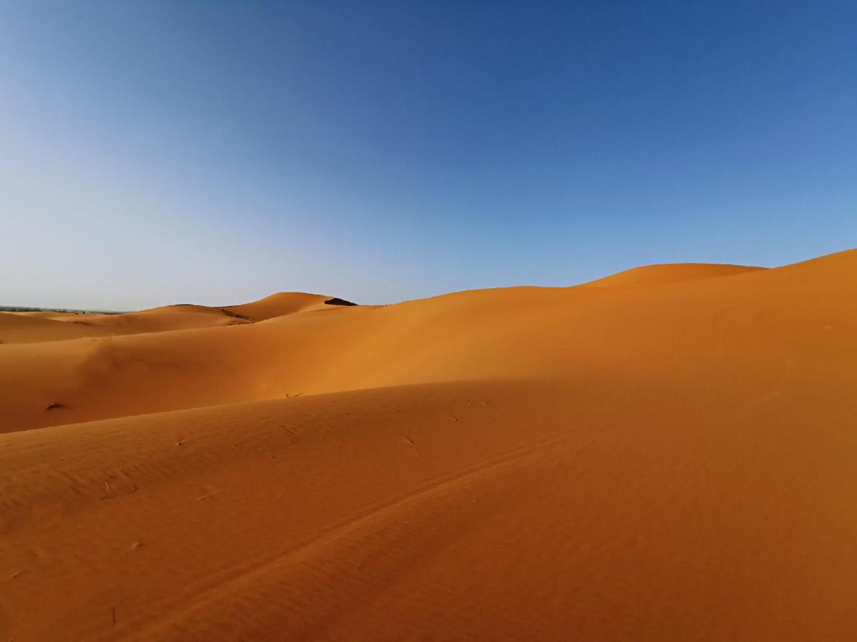 Desert Berber Fire-Camp Merzouga Exteriör bild